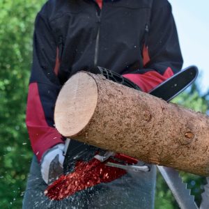 einhell-gc-pc-2040-i-piła-łańcuchowa-spalinowa-4501851