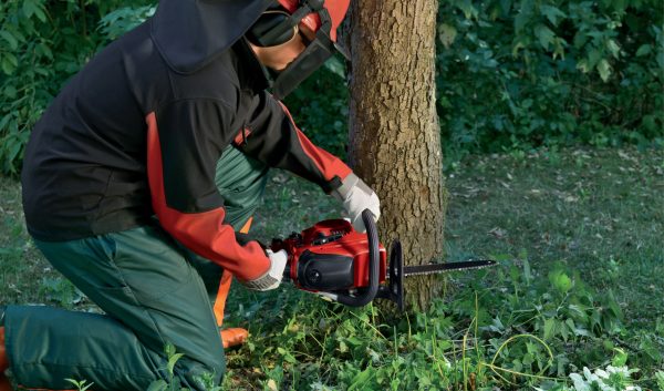 einhell-gc-pc-2040-i-piła-łańcuchowa-spalinowa-4501851